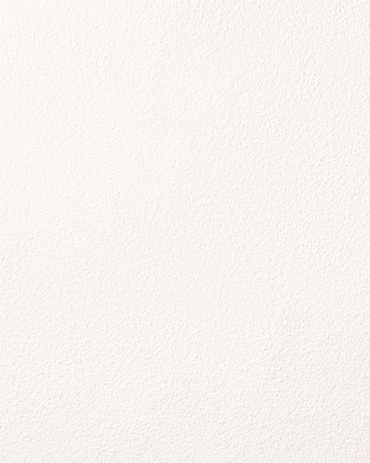 フェイスパウダー フェイスパウダー 詰め替え用　スノーホワイト