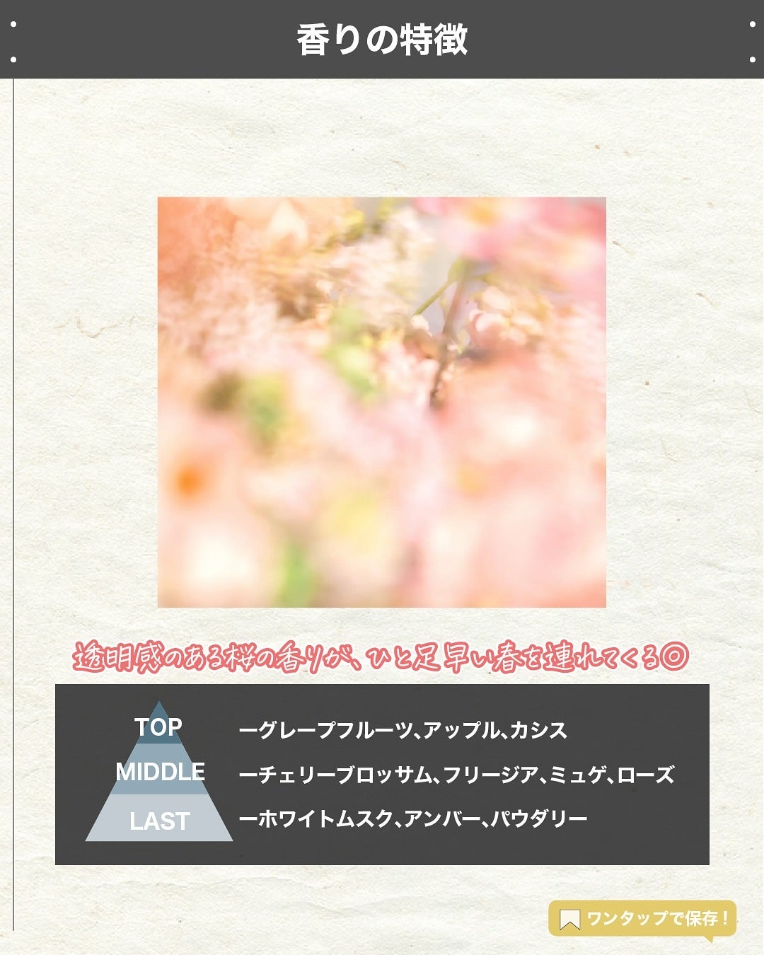 エスログ┊1日1分のモテ香水紹介 on LIPS 「.『発売決定春の香水』🌳製品情報🌳SHIROSPRINGLET..」(3枚目)