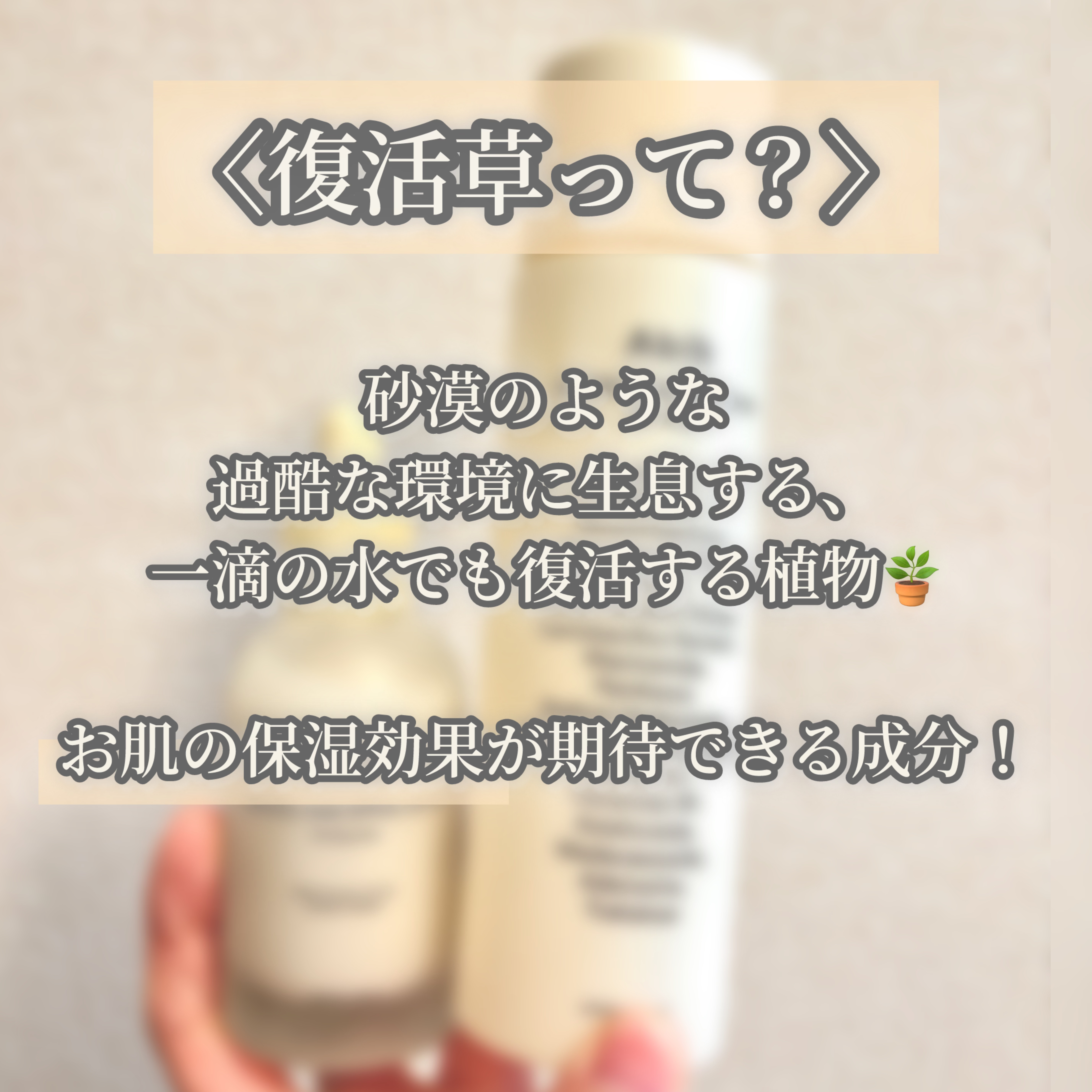 復活草ビフィダセラムファーミングドロップ/Abib /美容液を使ったクチコミ（2枚目）