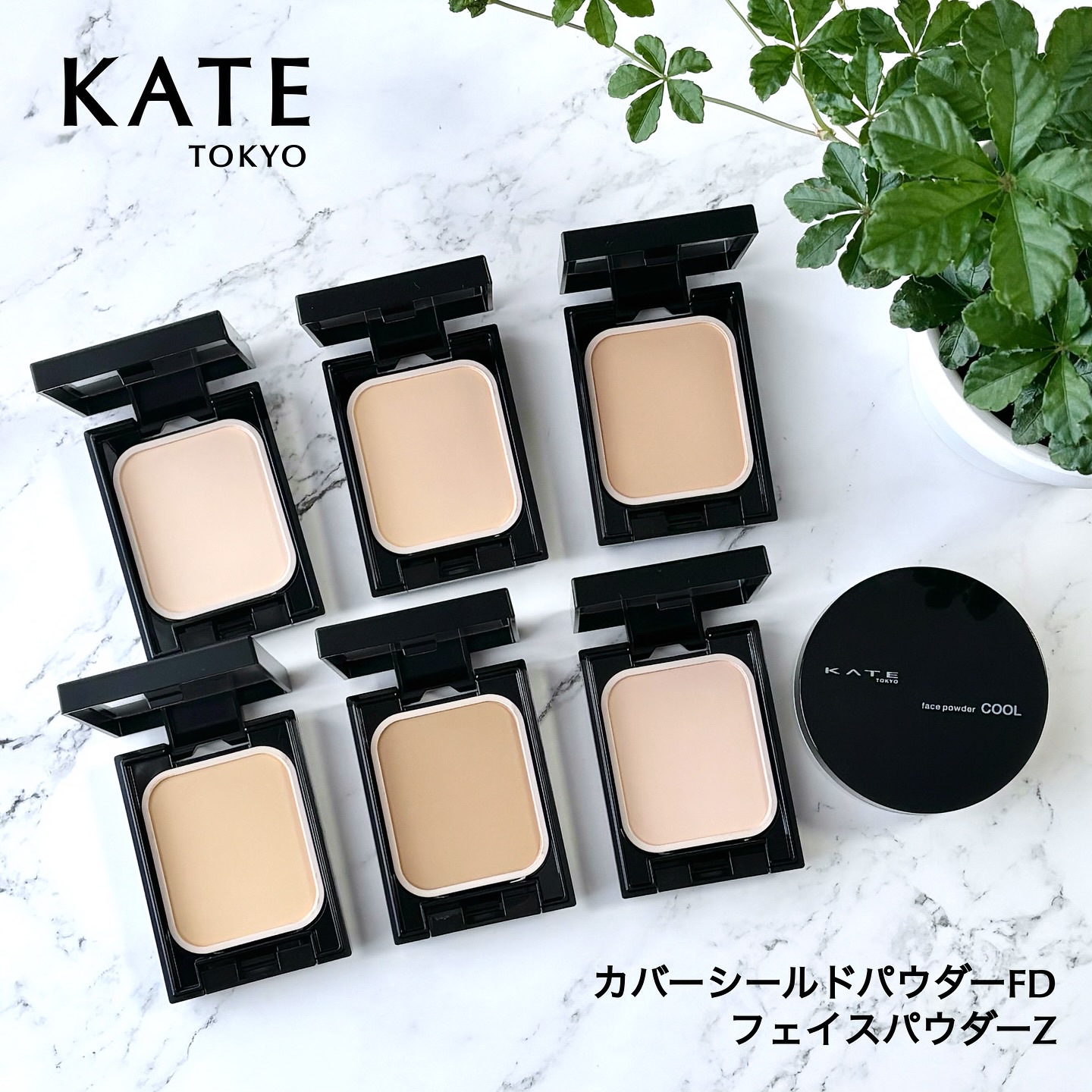 ケイト フェイスパウダーZ(オイルブロック)/KATE/ルースパウダーを使ったクチコミ（1枚目）