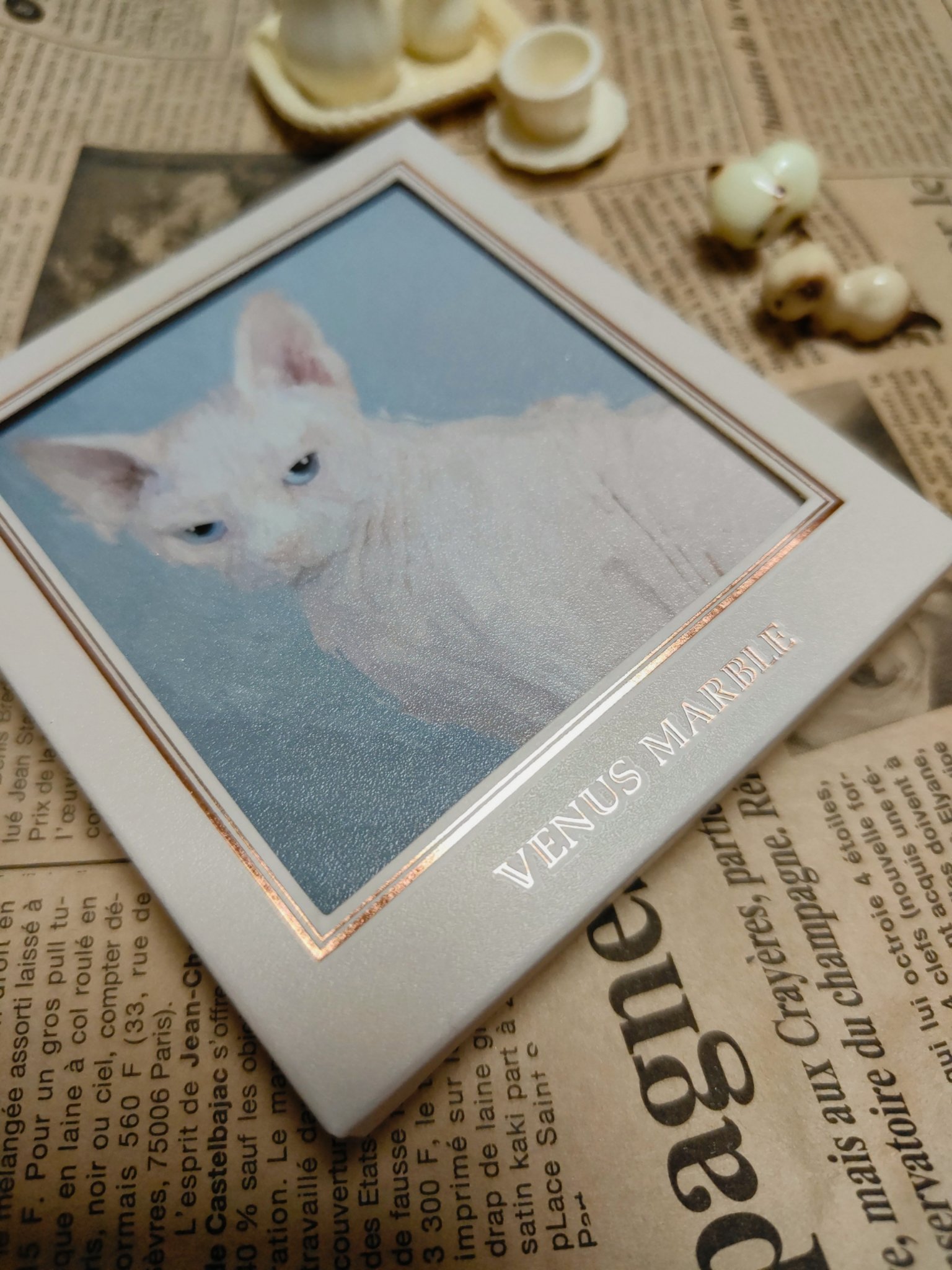 Venus Marble アイシャドウキャットシリーズ スフィンクス/Venus Marble/アイシャドウパレットを使ったクチコミ（1枚目）