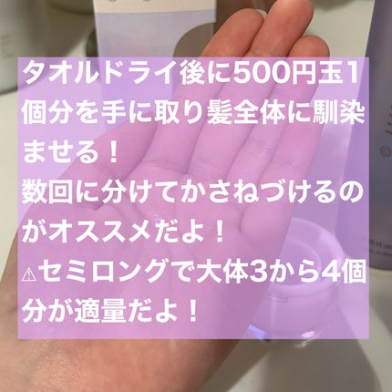 スムース コンディショニング ウォーター/melt/アウトバストリートメントを使ったクチコミ(3枚目)