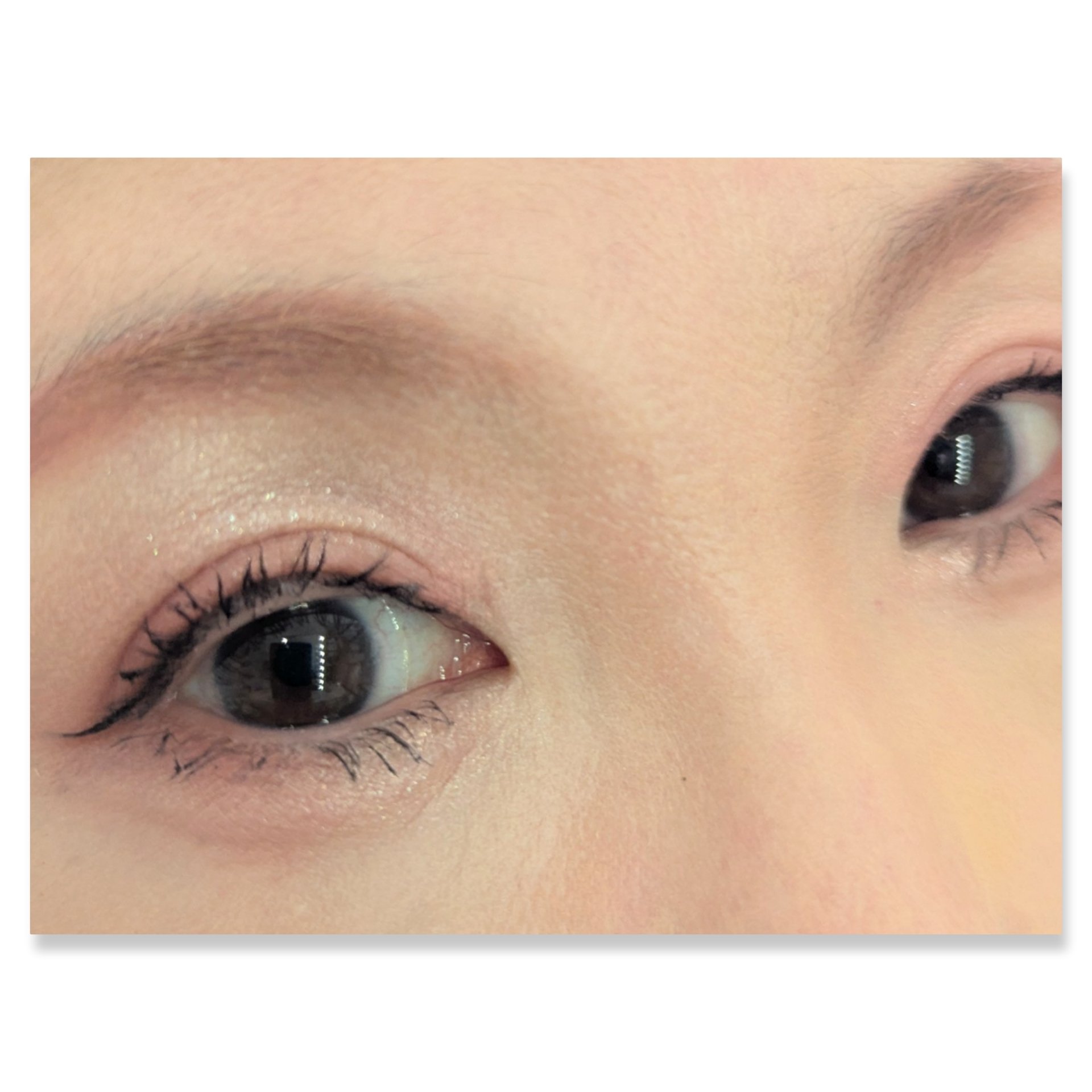 ジュエリーシャドウベール/キャンメイク/アイシャドウパレットを使ったクチコミ（2枚目）