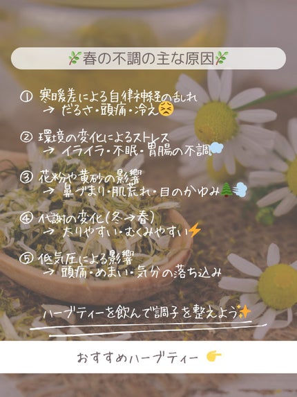 グリーンダ·カ·ラ やさしいルイボス/サントリーフーズ/その他を使ったクチコミ(3枚目)