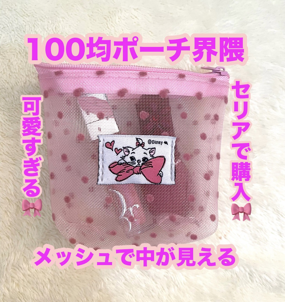 マルチケース/セリア/その他を使ったクチコミ（1枚目）