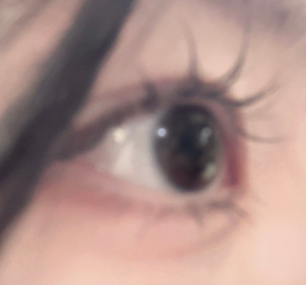 ウォンジョンヨ ヌードアイラッシュ/Wonjungyo/マスカラを使ったクチコミ(1枚目)