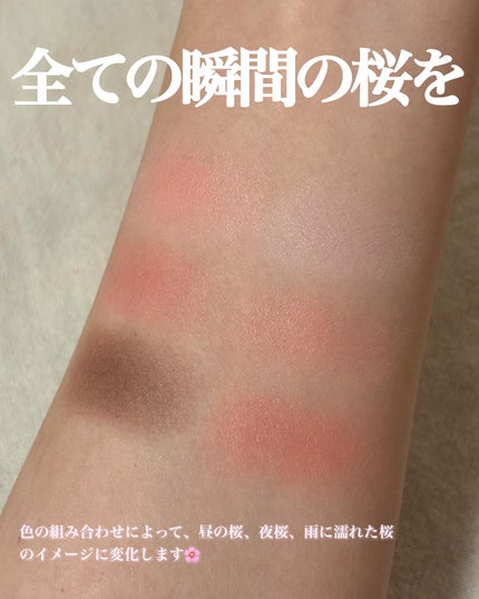 ブラーフィニシュシャドウパレット/Dinto/アイシャドウパレットを使ったクチコミ(4枚目)