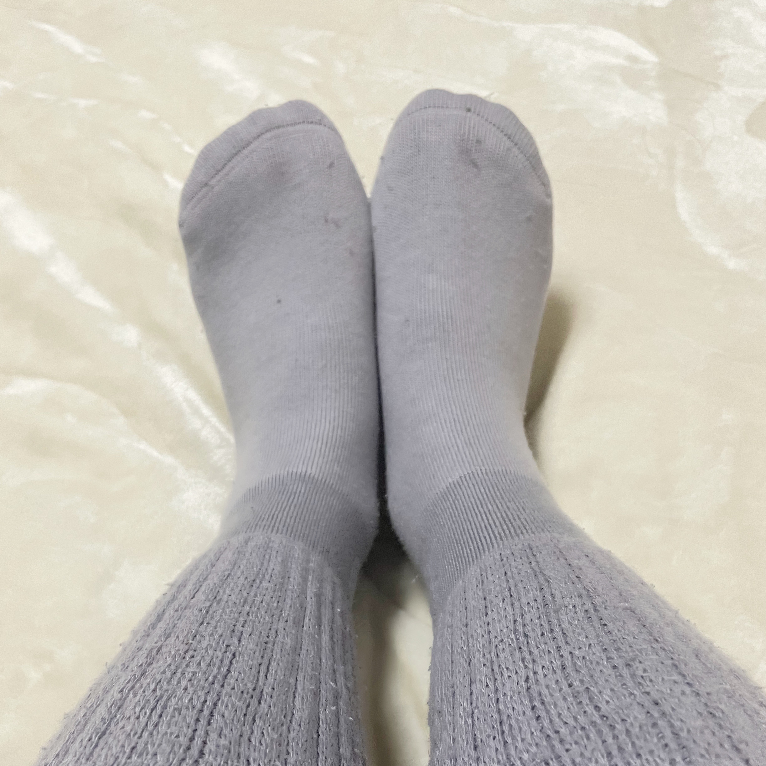 靴下サプリ まるでこたつ レディース ソックス/靴下サプリ/暖かい靴下を使ったクチコミ（1枚目）