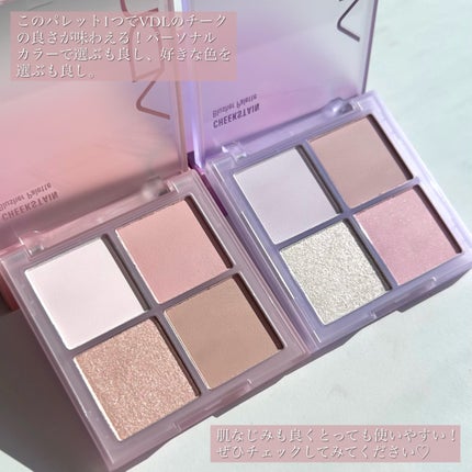 VDL チークステイン ブラッシャー パレット/VDL/パウダーチークを使ったクチコミ(8枚目)