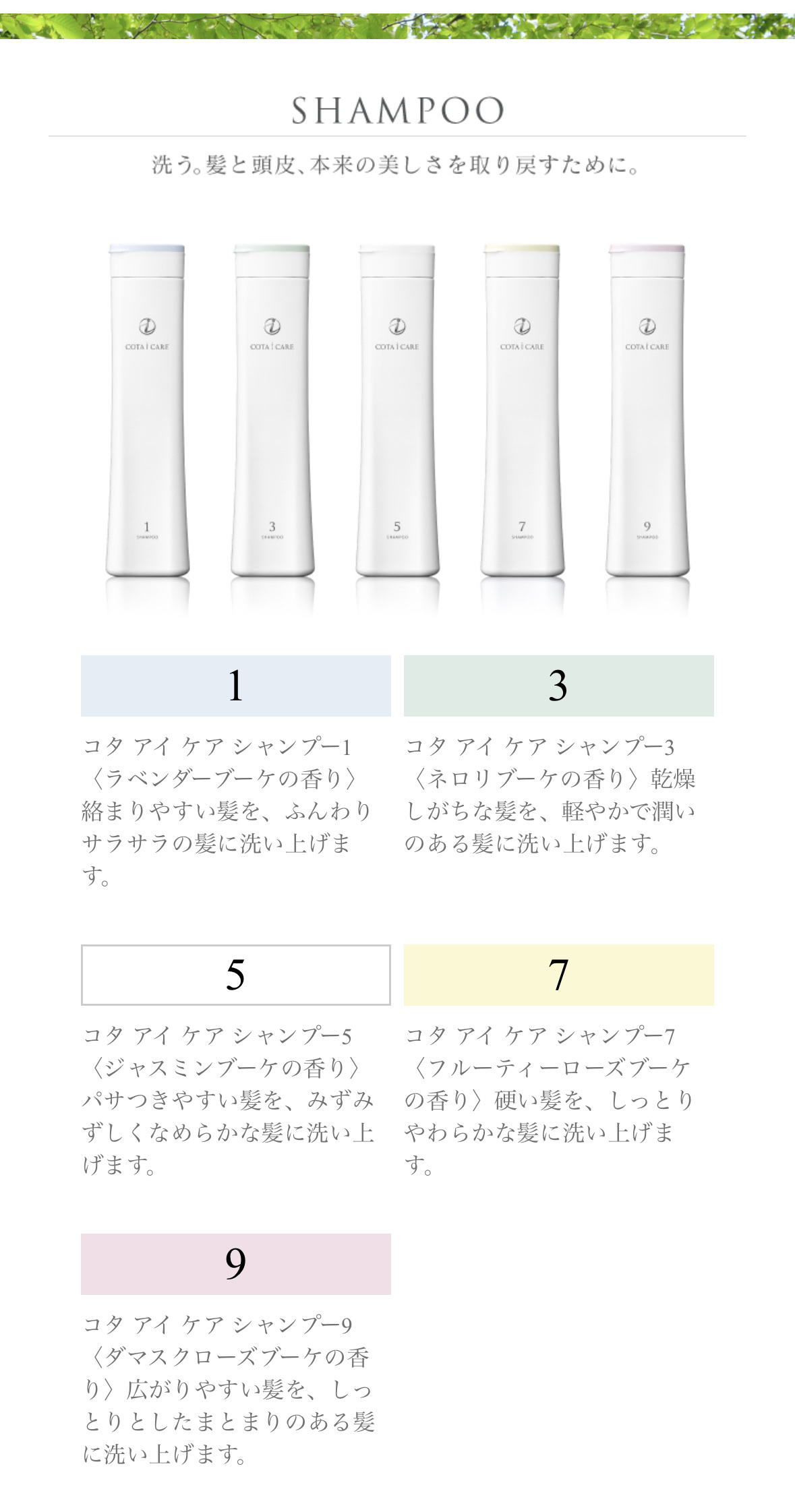 コタセラ スパトリートメント/コタ/頭皮トリートメントを使ったクチコミ（3枚目）