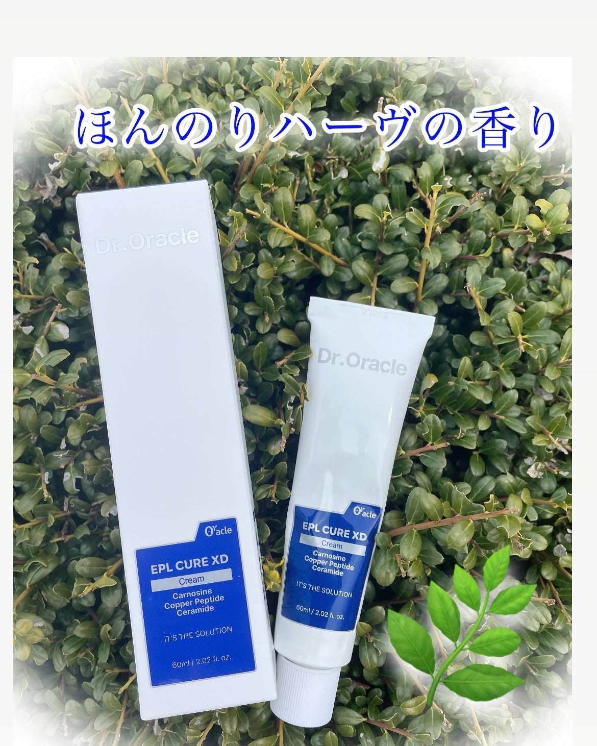 EPL キュアクリームXD/Dr.Oracle/フェイスクリームを使ったクチコミ(6枚目)