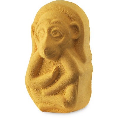 ラッシュ オナガザルの未来のために