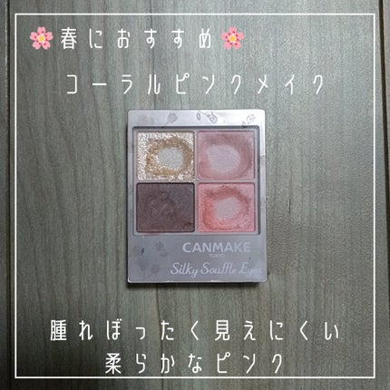 シルキースフレアイズ(マットタイプ)/キャンメイク/アイシャドウパレットを使ったクチコミ(2枚目)