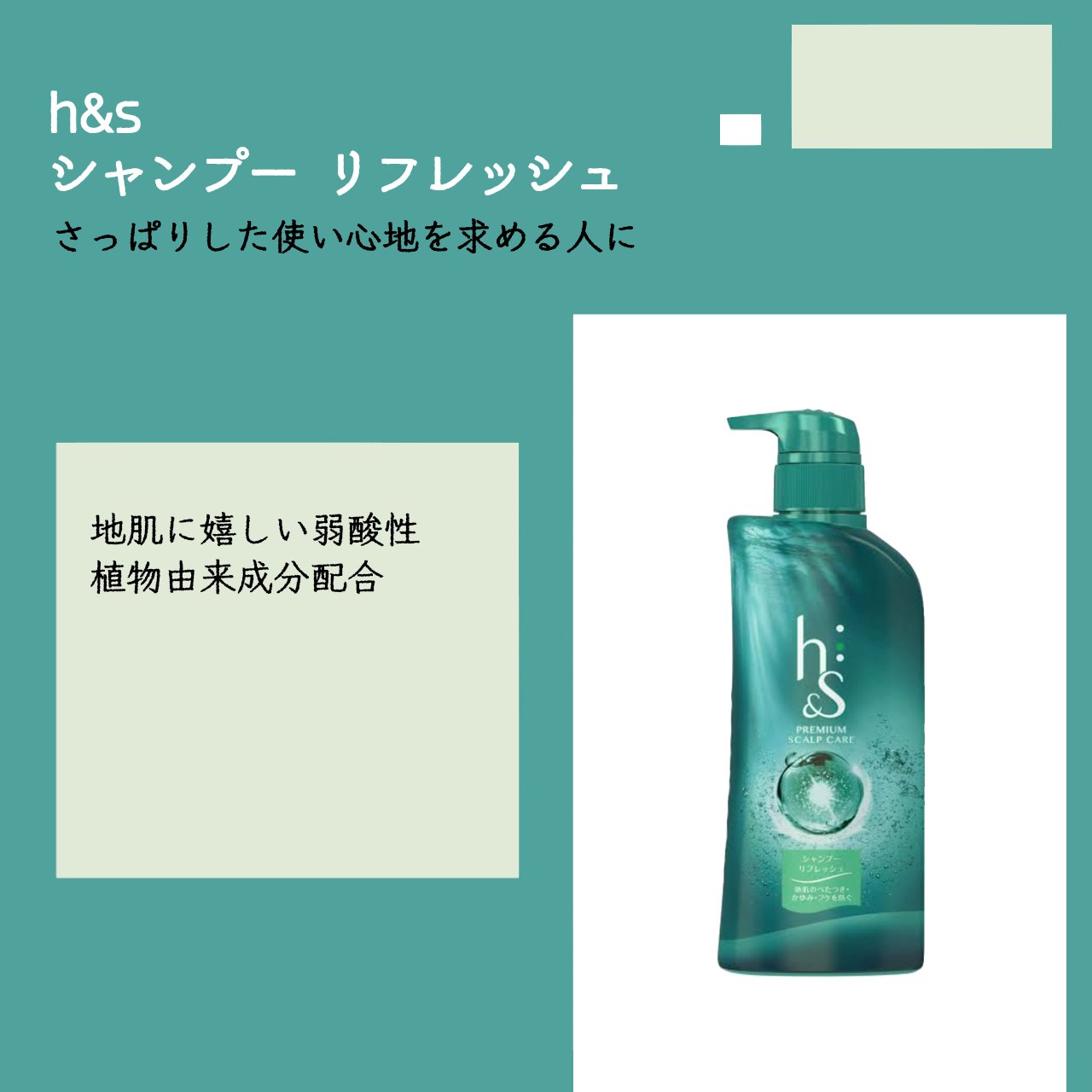 リフレッシュ シャンプー／コンディショナー/h&s/頭皮ケアを使ったクチコミ（1枚目）