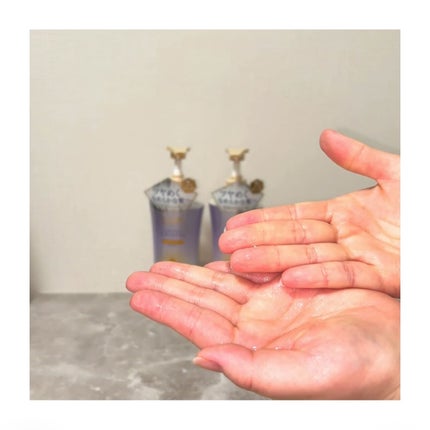 スーパーリッチクリスタル マルチダメージリペア シャンプー/トリートメント/LUX/市販シャンプーを使ったクチコミ(5枚目)