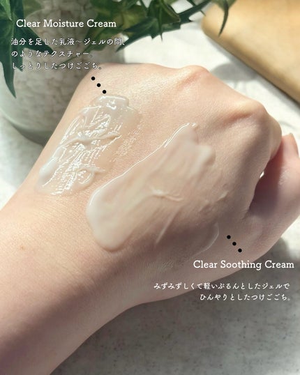 レッドブレミッシュ クリアスージングクリーム/Dr.G/フェイスクリームを使ったクチコミ(4枚目)