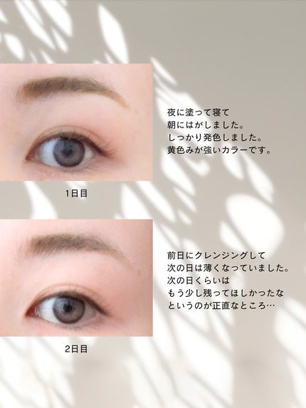 眉ティントSVR/Fujiko/眉ティントを使ったクチコミ(2枚目)