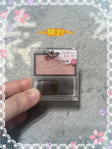 パノラマデザイン アイパレット/Visée/アイシャドウパレットを使ったクチコミ(2枚目)