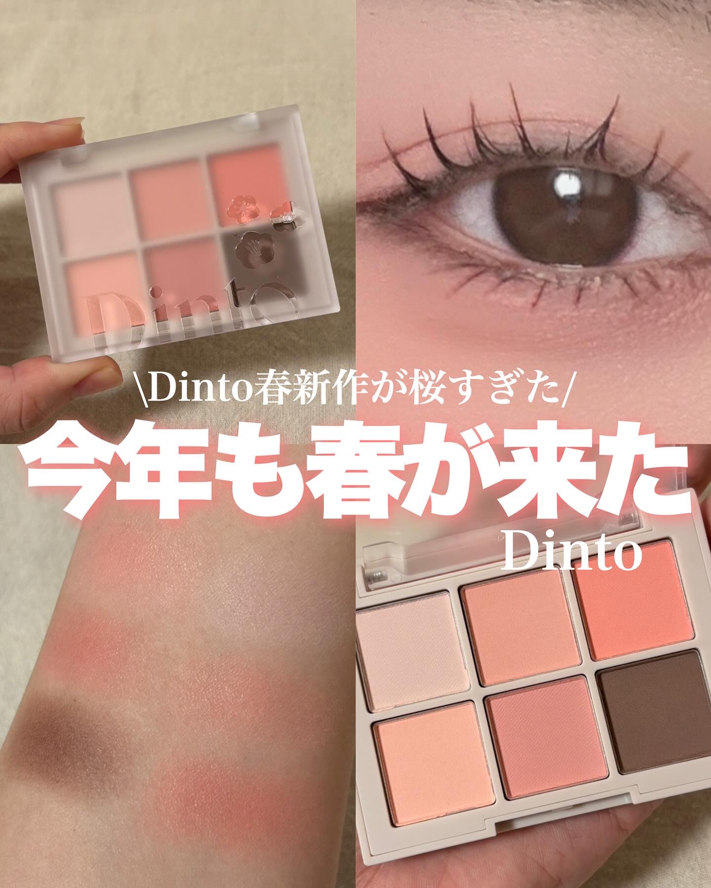 ブラーフィニシュシャドウパレット/Dinto/アイシャドウパレットを使ったクチコミ（1枚目）