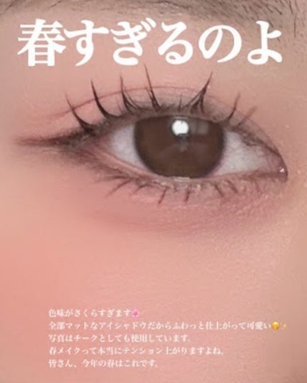 ブラーフィニシュシャドウパレット/Dinto/アイシャドウパレットを使ったクチコミ(5枚目)