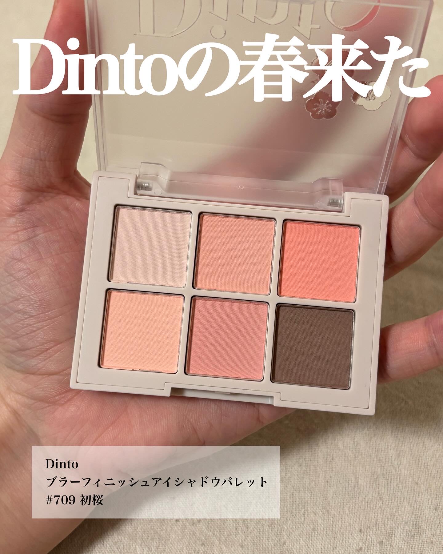 ブラーフィニシュシャドウパレット/Dinto/アイシャドウパレットを使ったクチコミ（2枚目）