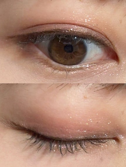 シャドウパレット/dasique/アイシャドウパレットを使ったクチコミ(2枚目)