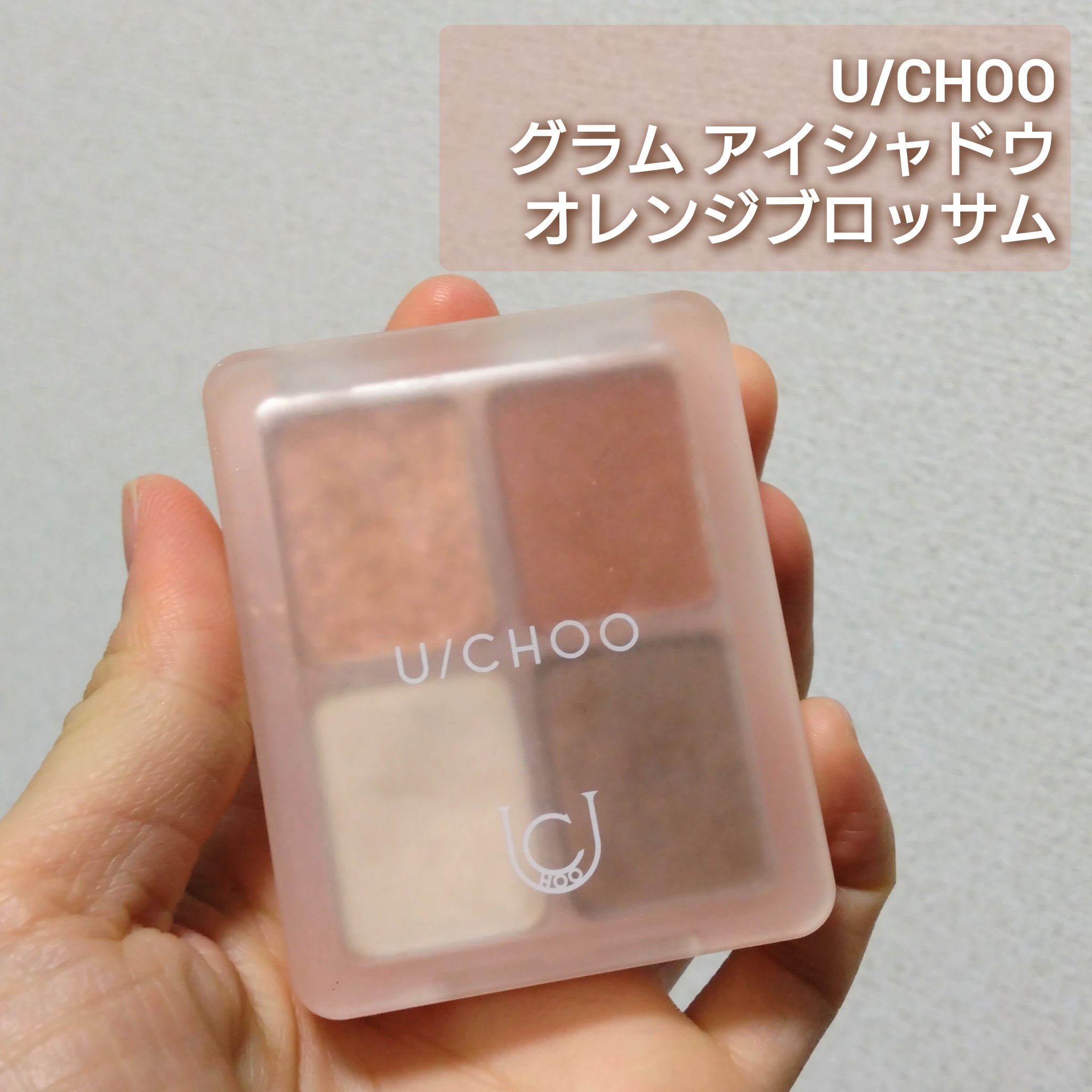  グラム アイ シャドウ/U/CHOO/アイシャドウパレットを使ったクチコミ（2枚目）