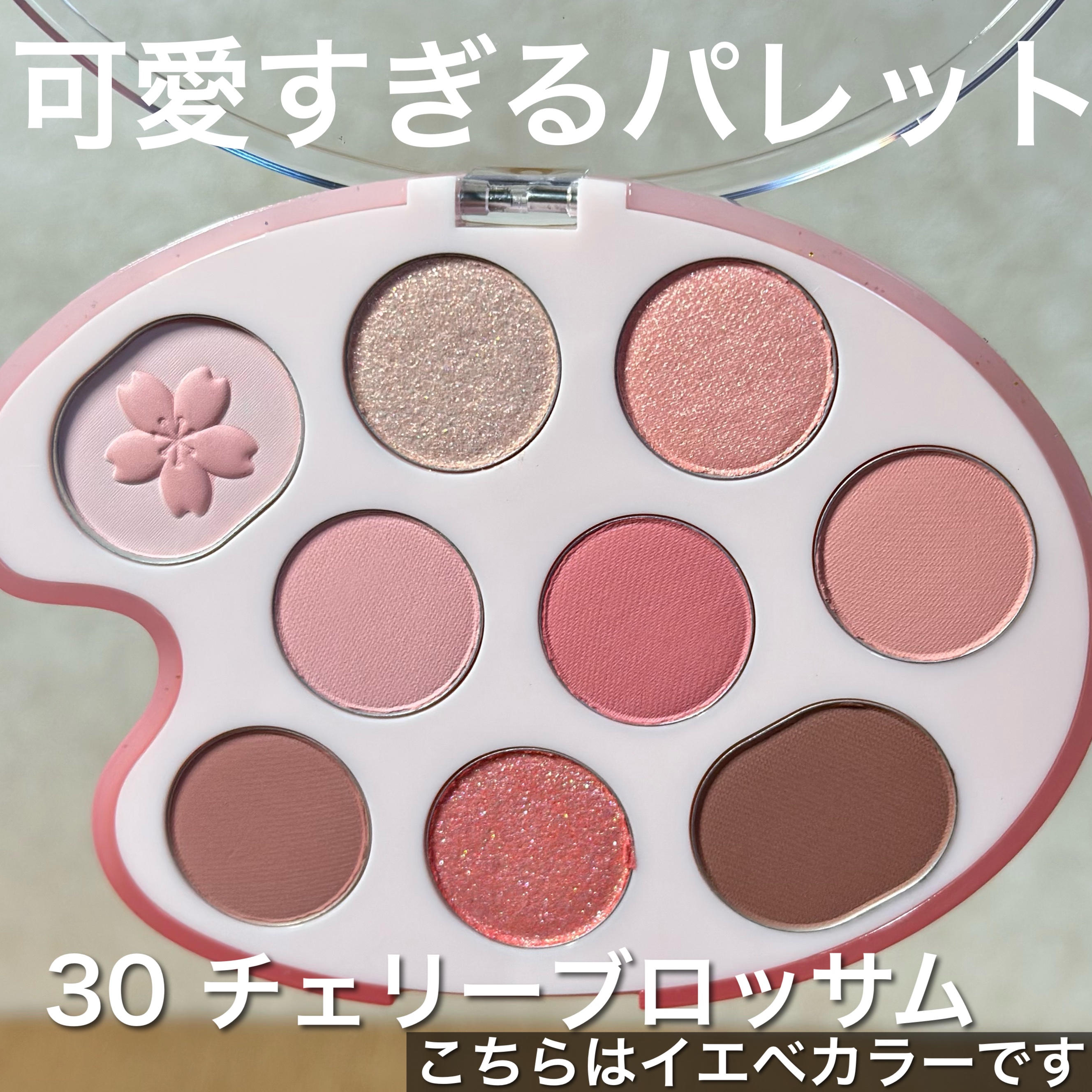 シャドウパレット/dasique/アイシャドウパレットを使ったクチコミ（2枚目）