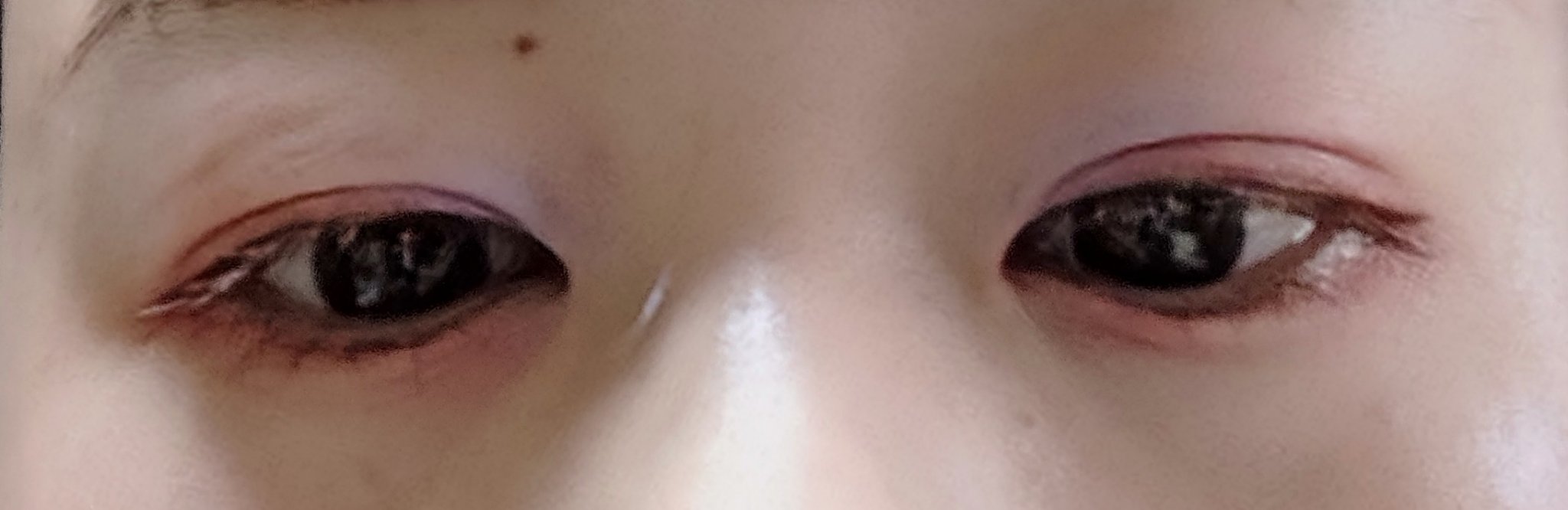 【旧】ディオールショウ サンク クルール（スプリング コレクション 2025 限定品）/Dior/アイシャドウを使ったクチコミ（3枚目）