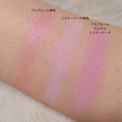 ブラーフィニシュブラッシャー/Dinto/パウダーチークを使ったクチコミ(1枚目)