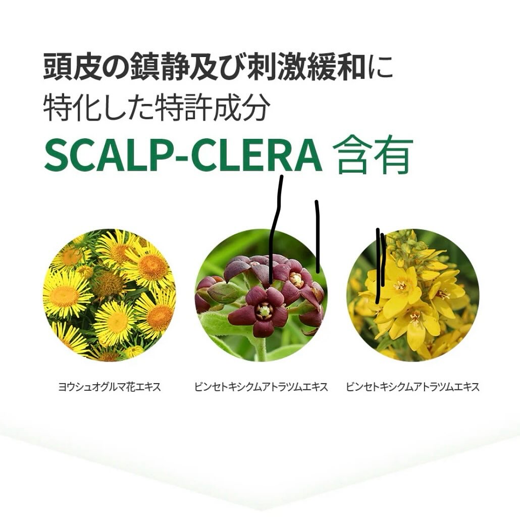 グローターン 100ml/リリーイブ/頭皮ローションを使ったクチコミ（3枚目）