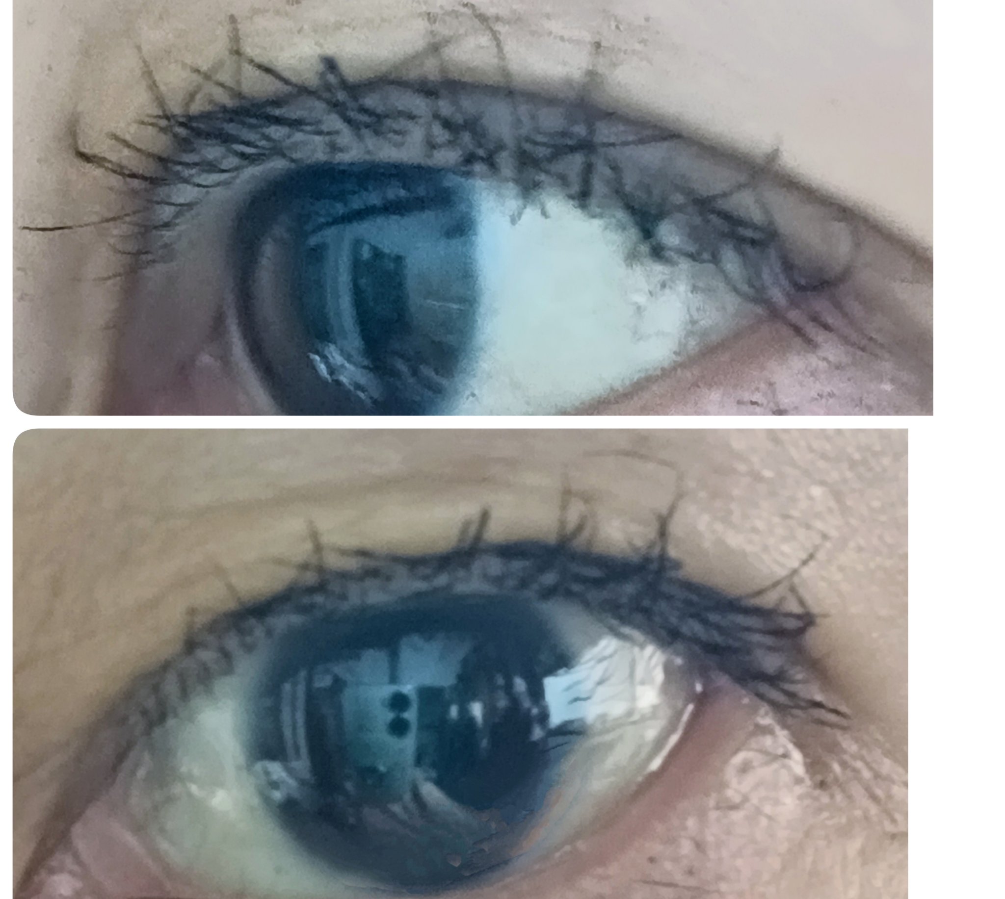 The style 4D MASCARA/MISSHA/マスカラを使ったクチコミ（3枚目）