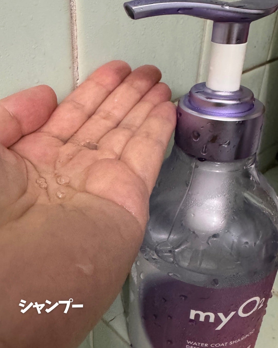 ãã€ã»ãªãŒã㌠ãŠã©ãŒã¿ãŒã³ãŒãã·ã£ã³ããŒ/ããªãŒãã¡ã³ã ãã£ãŒãã¢ã€ã¹ã/myO2/åžè²©ã·ã£ã³ããŒã䜿ã£ãã¯ãã³ãïŒ3æç®ïŒ