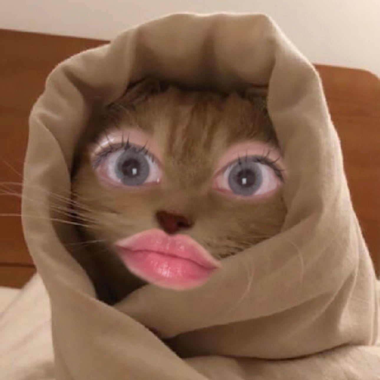 PUUUUCHU/PUUUUCHU/ワンデー(1DAY)カラコンを使ったクチコミ(2枚目)