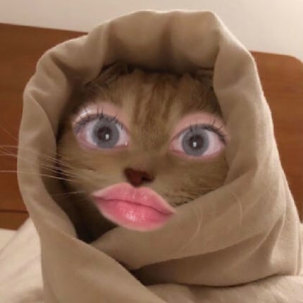 PUUUUCHU/PUUUUCHU/ワンデー(1DAY)カラコンを使ったクチコミ(2枚目)