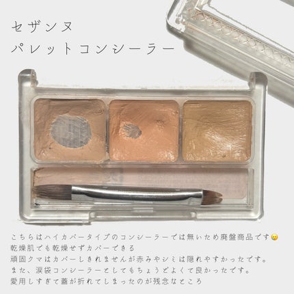 パーフェクトマルチアイズ/キャンメイク/アイシャドウパレットを使ったクチコミ(4枚目)