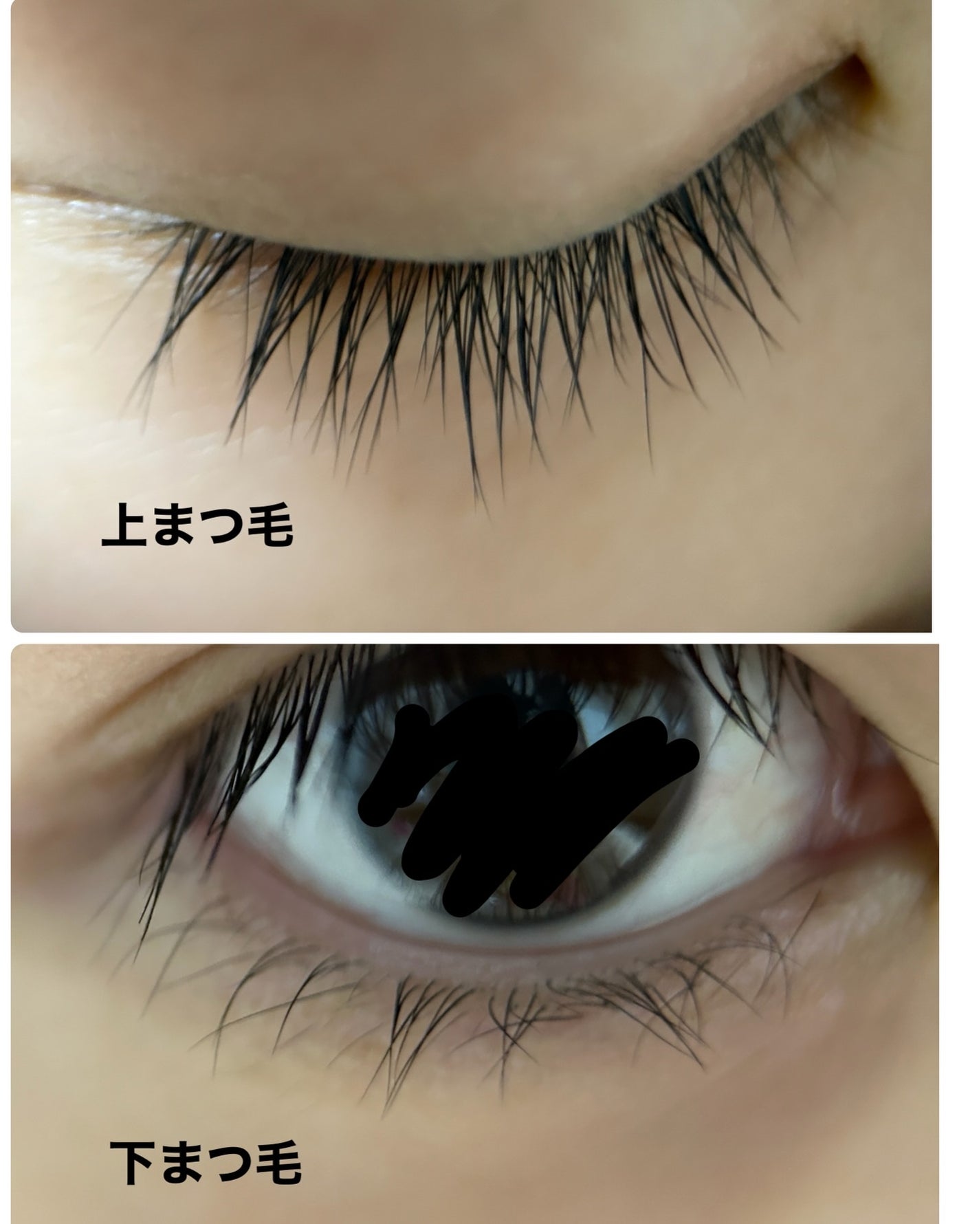 リアルミービオテノールラッシュアップアンプル/ベリサム/まつげ美容液を使ったクチコミ(5枚目)