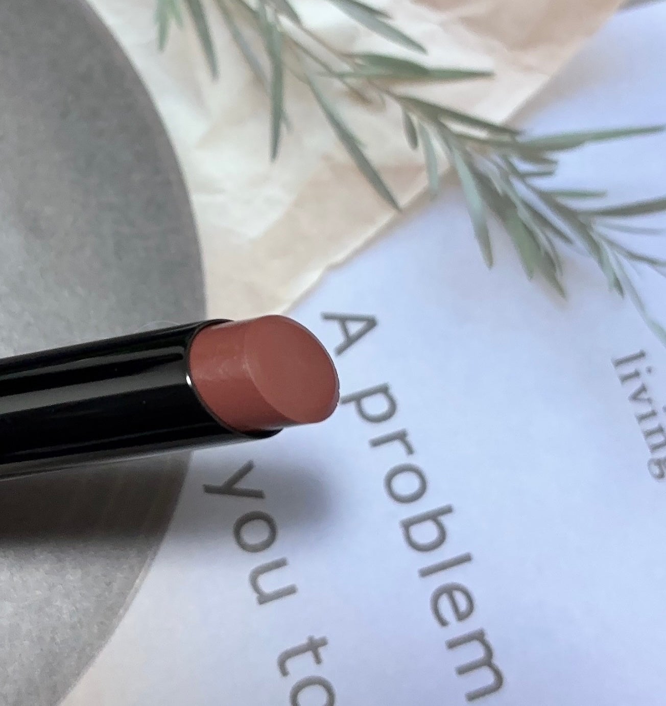 ケイト リップモンスター/KATE/口紅を使ったクチコミ(5枚目)