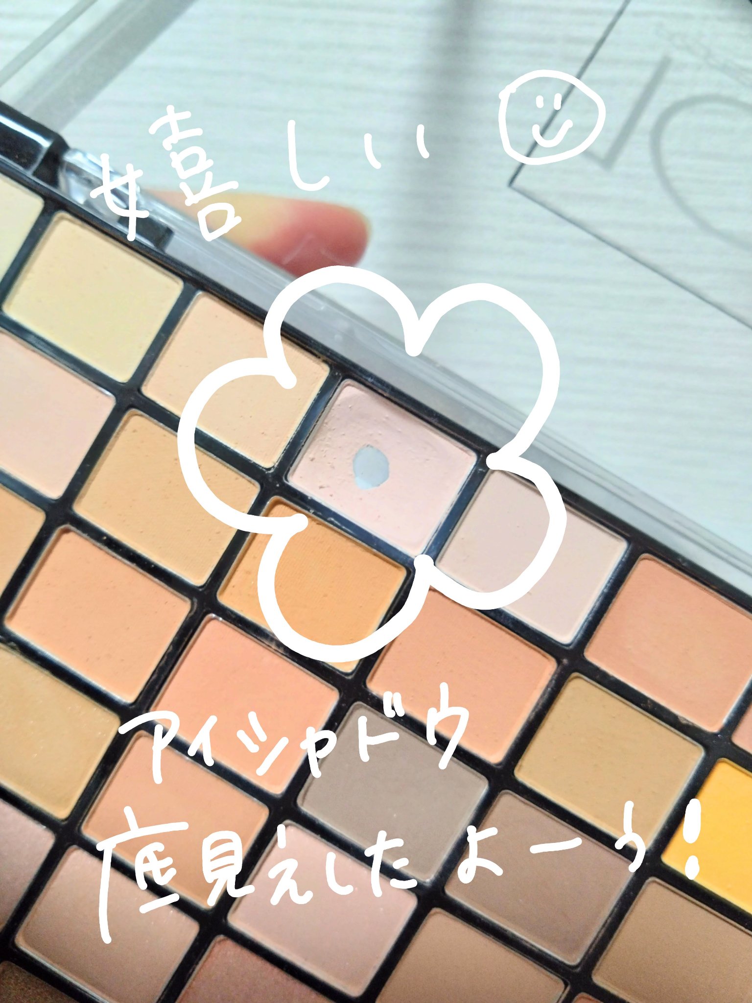 プロフェッショナルボリューム100カラー/Dolly Angel/アイシャドウパレットを使ったクチコミ（1枚目）