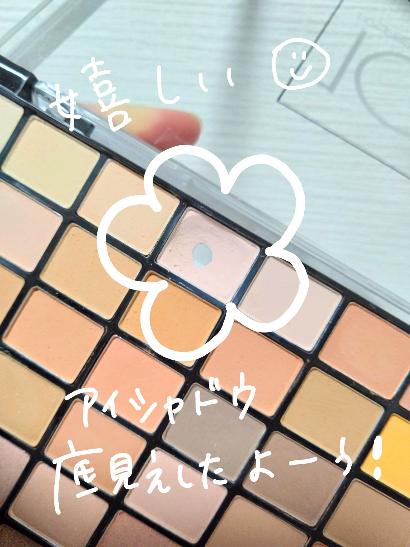 プロフェッショナルボリューム100カラー/Dolly Angel/アイシャドウパレットを使ったクチコミ(1枚目)