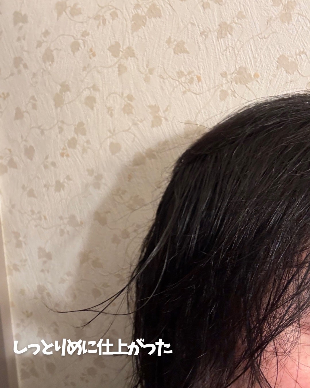 ãã€ã»ãªãŒã㌠ãŠã©ãŒã¿ãŒã³ãŒãã·ã£ã³ããŒ/ããªãŒãã¡ã³ã ãã£ãŒãã¢ã€ã¹ã/myO2/åžè²©ã·ã£ã³ããŒã䜿ã£ãã¯ãã³ãïŒ5æç®ïŒ