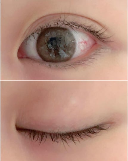 ラブ・ライナー オールラッシュ セラムR<まつげ美容液>/ラブ・ライナー/まつげ美容液を使ったクチコミ(5枚目)