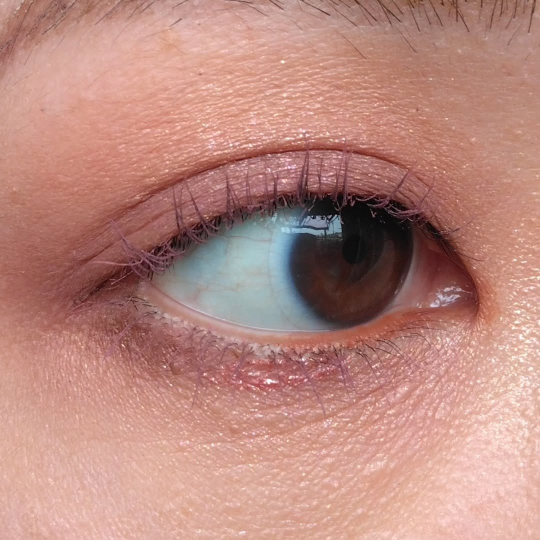 エッセンシャルアイパレット/nuegray/アイシャドウパレットを使ったクチコミ（3枚目）