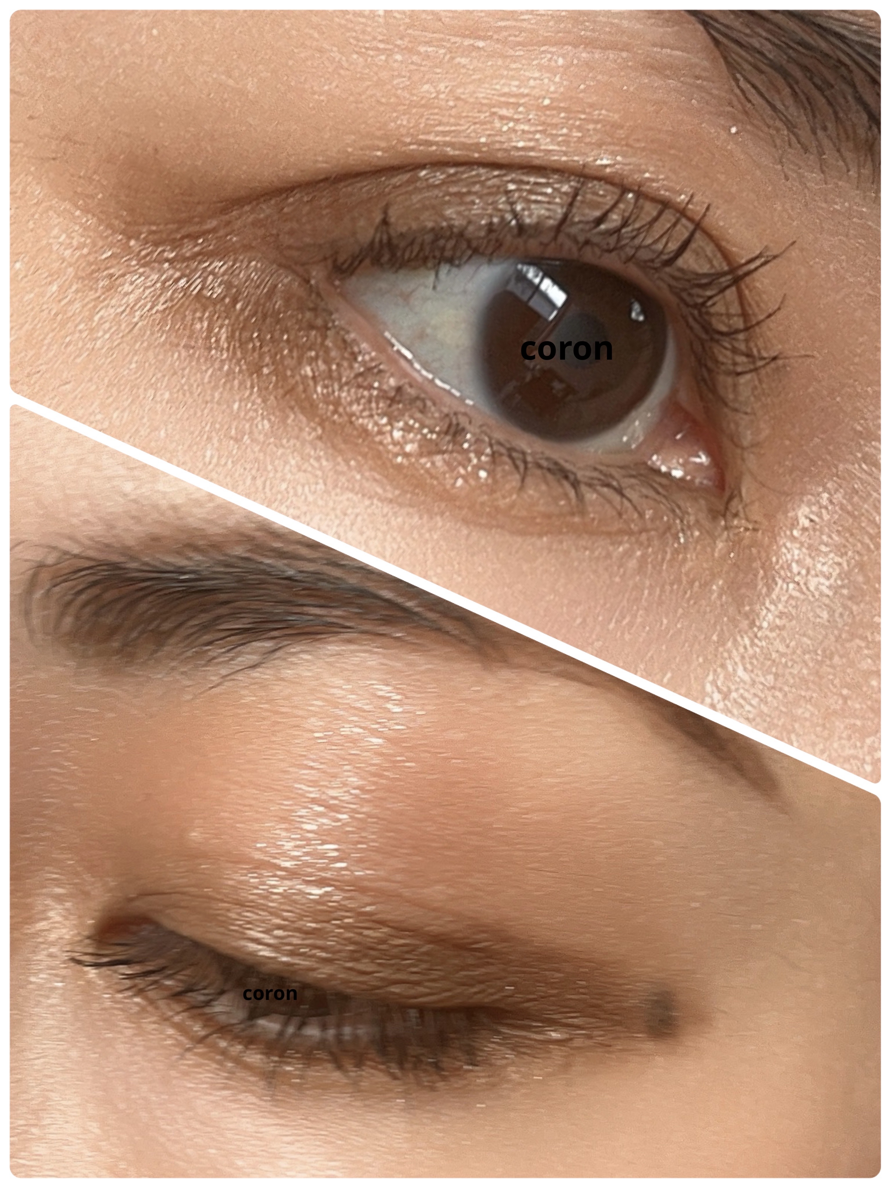 SUQQU アイ&フェイス コンパクト/SUQQU/アイシャドウパレットを使ったクチコミ（2枚目）