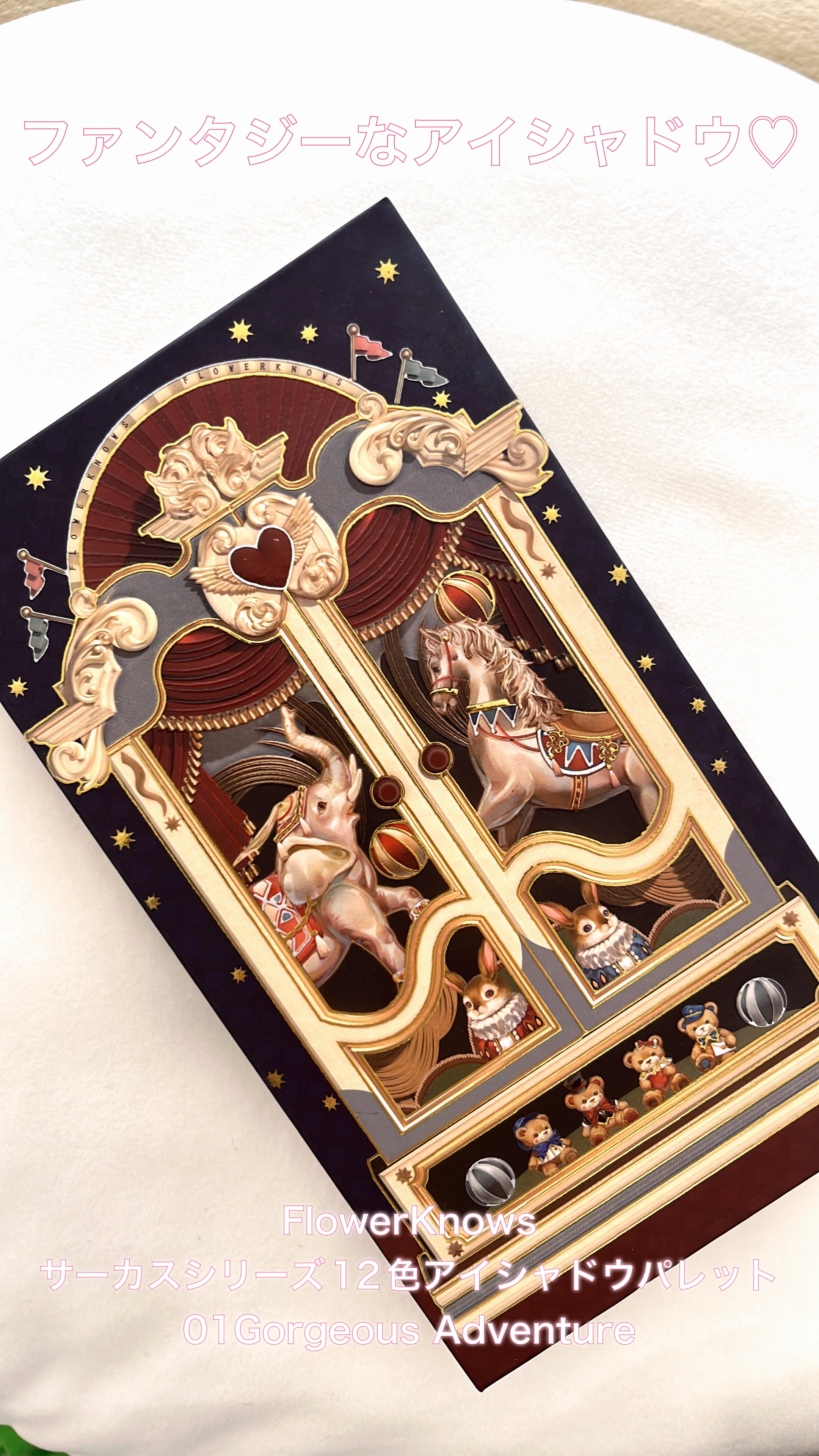 サーカスシリーズ12色アイシャドウパレット   01 Gorgeous Adventure/FlowerKnows/アイシャドウパレットを使ったクチコミ（1枚目）