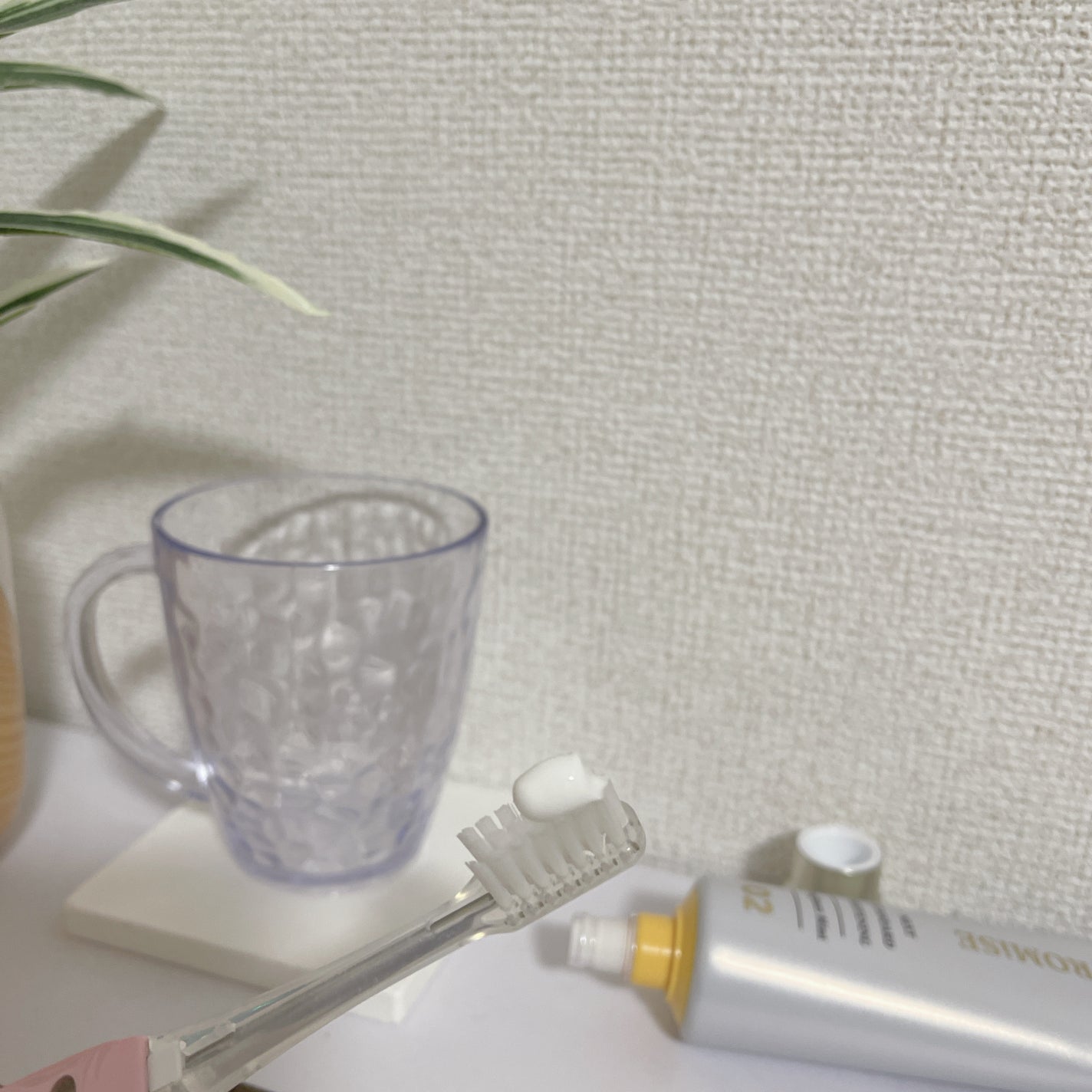 ホワイトプロミス 美白*+むし歯予防*/WHiTE PROMiSE/歯磨き粉を使ったクチコミ(2枚目)