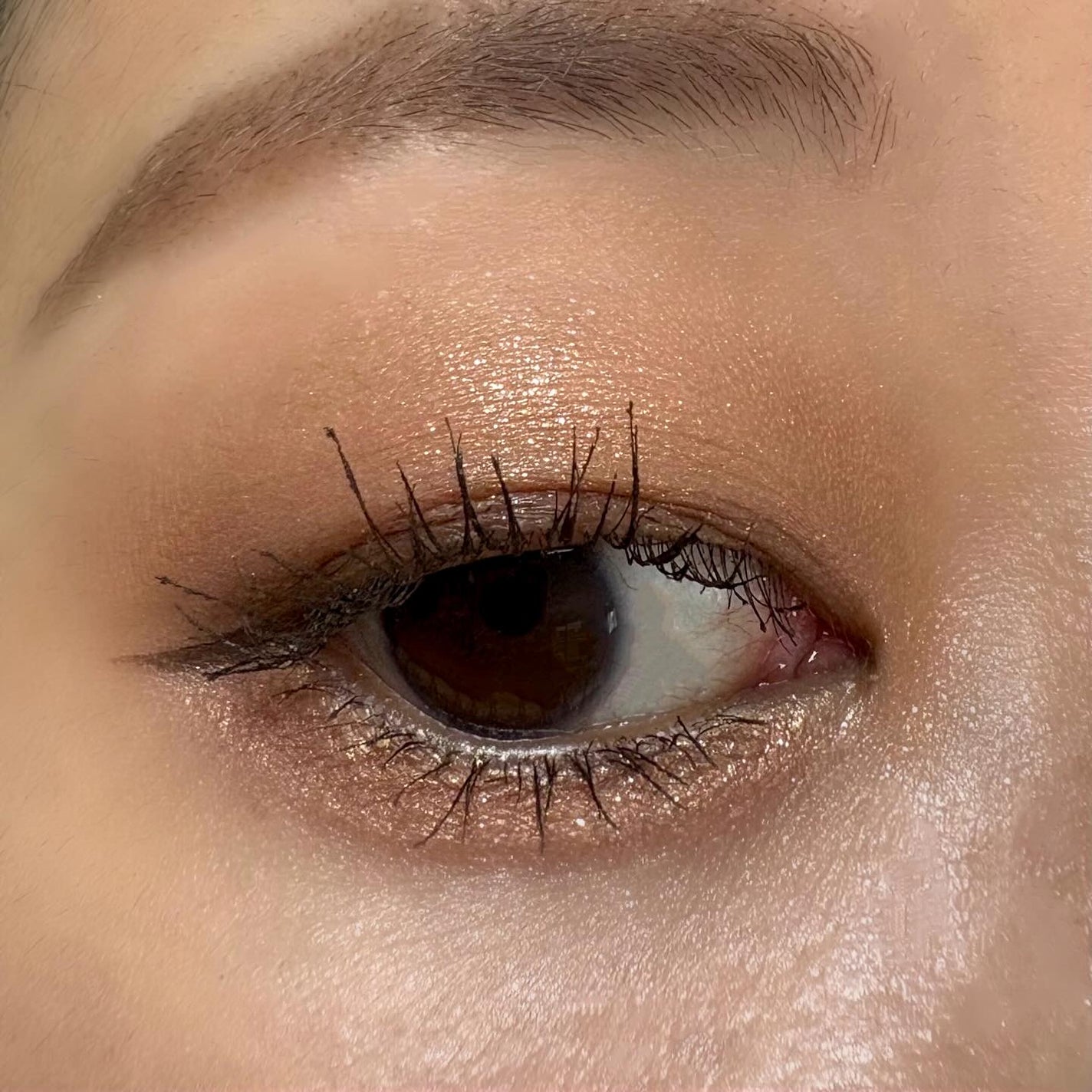 アイカラーレーション/LUNASOL/アイシャドウパレットを使ったクチコミ(4枚目)