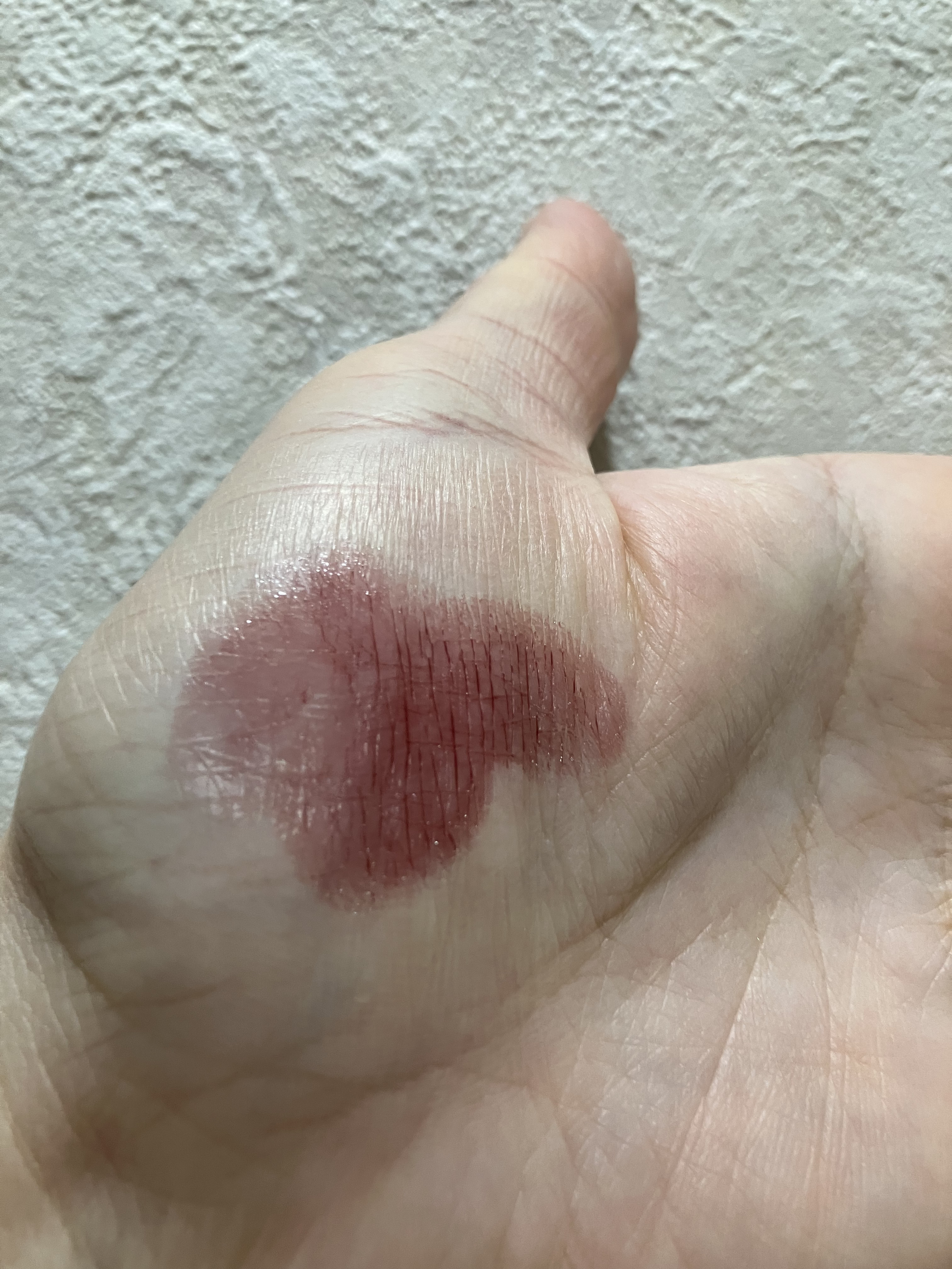 アディクション ザ リップバーム グロウティント 009 Night Calling/ADDICTION/リップティントを使ったクチコミ（3枚目）