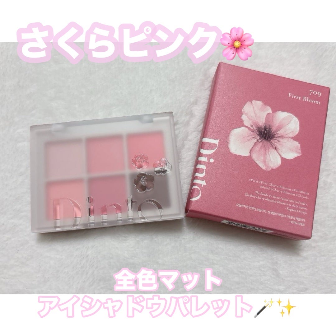 ブラーフィニシュシャドウパレット/Dinto/アイシャドウパレットを使ったクチコミ(1枚目)