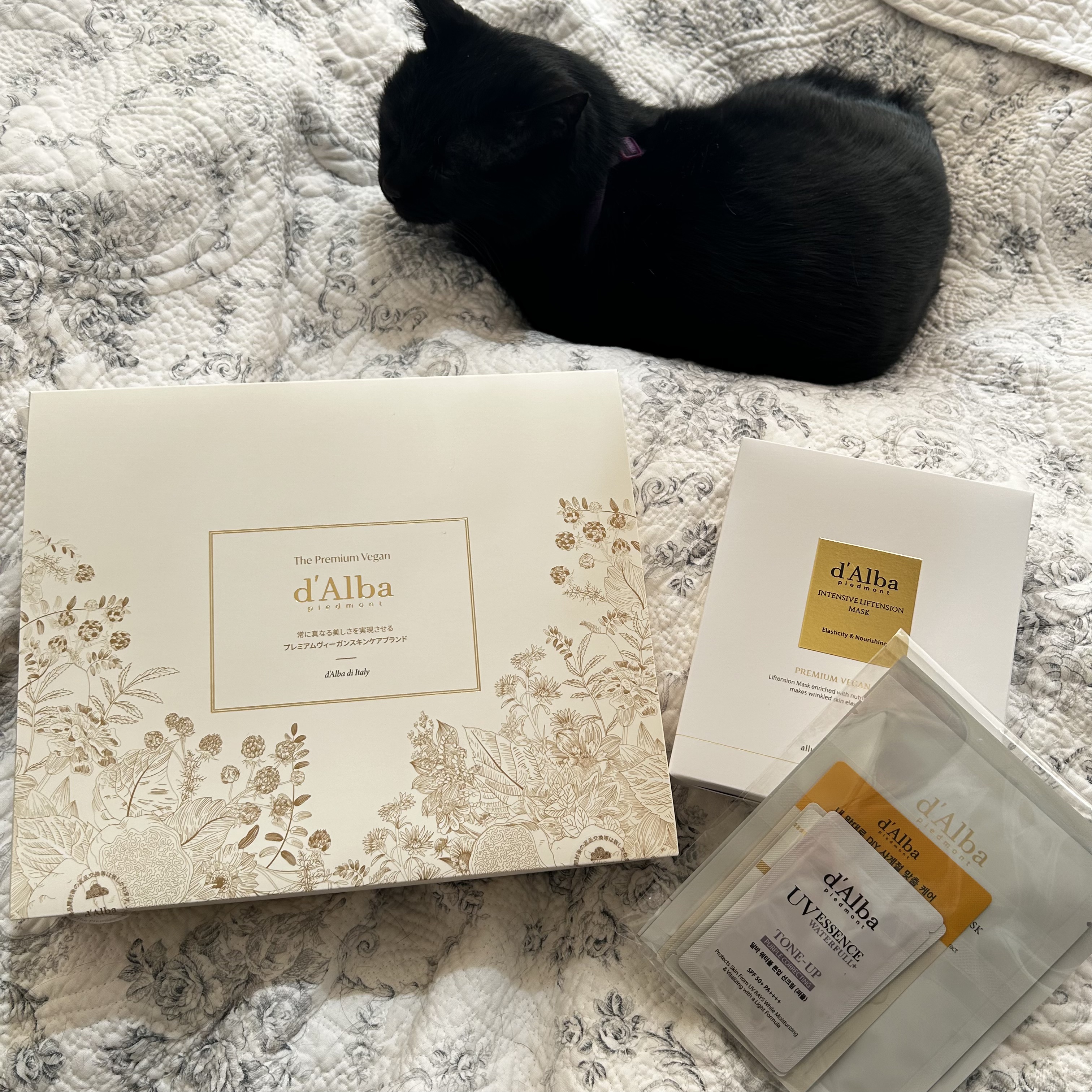 届いた！！Qoo10のメガ割︎🐰🎀
今回はd'albaのセットにしました💛

下地が欲しくて買ったけど、お得そうだったので沢山入ってるのを購入✨️

3000円くらいお得に買えたのに、こんなに沢山入ってる…次のメガ割も楽しみ🥰

#